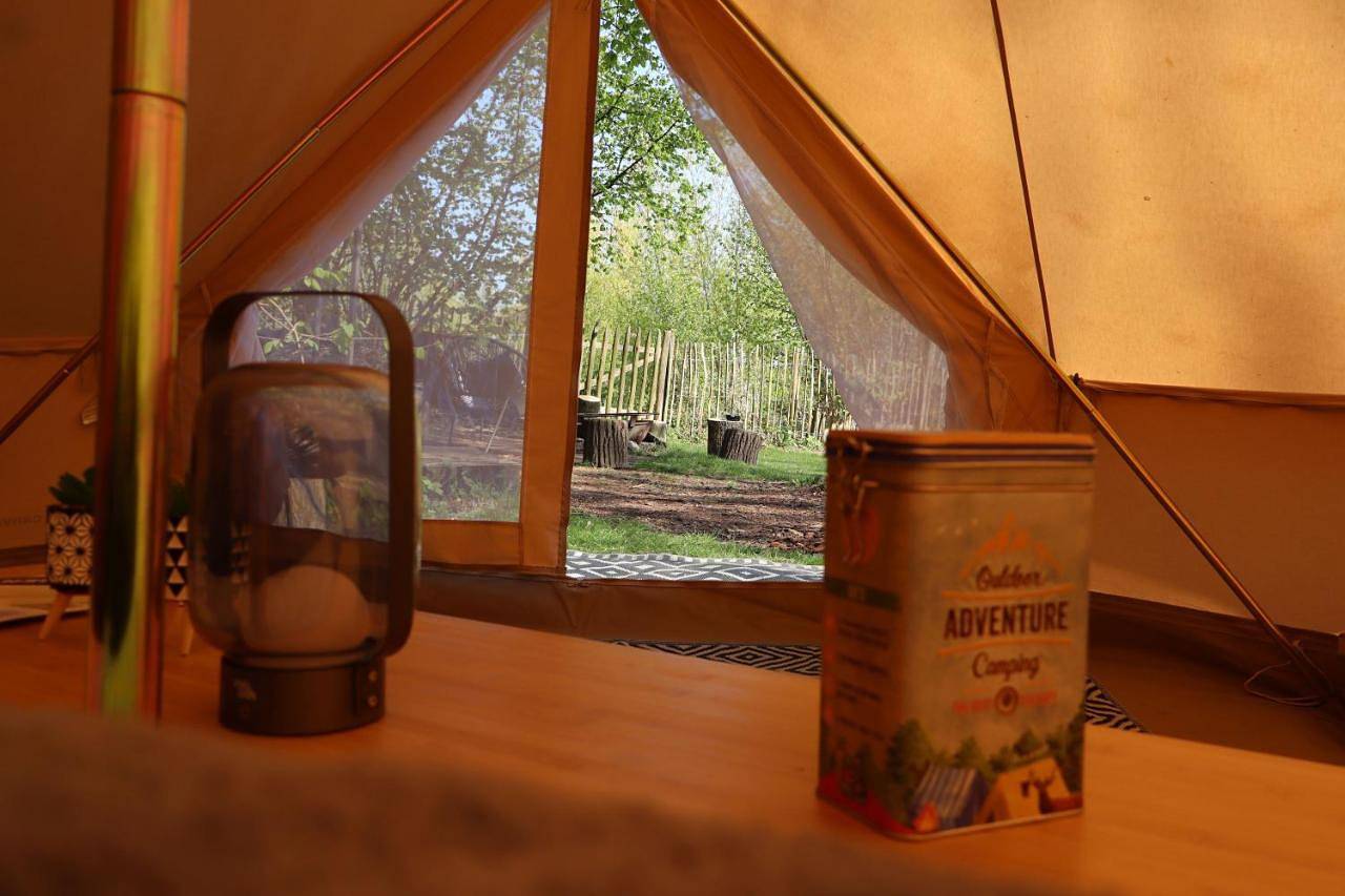 Tent in Herzele, Province de Flandre-Orientale