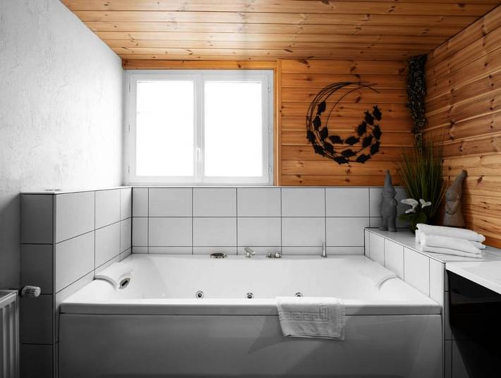 Hôtel pour 2 personnes, avec jardin et terrasse, animaux acceptés à Girmont-Val-d'Ajol - 3