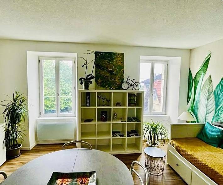 Gîte pour 4 personnes, animaux acceptés à La Roche-sur-Foron - 2