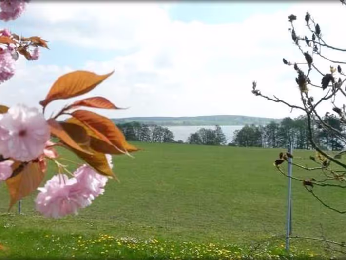 Ferienwohnung für 3 Personen, mit Garten und Terrasse sowie Seeblick, kinderfreundlich - 1