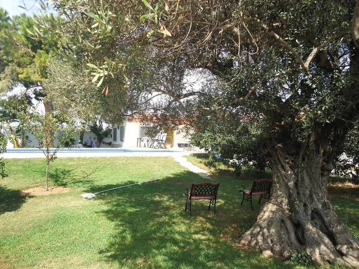 Charming chalet in Peñiscola with private pool and garden in Peñiscola, Costa del Azahar