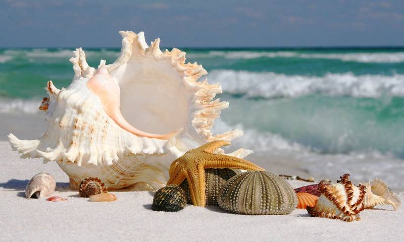 Gîte pour 5 personnes, avec balcon et vue à Durrës - 4