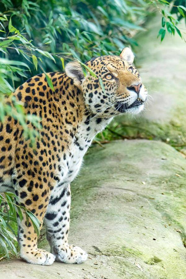 Gîte pour 4 personnes, avec jardin ainsi que vue et piscine à Crécy-la-Chapelle - 2