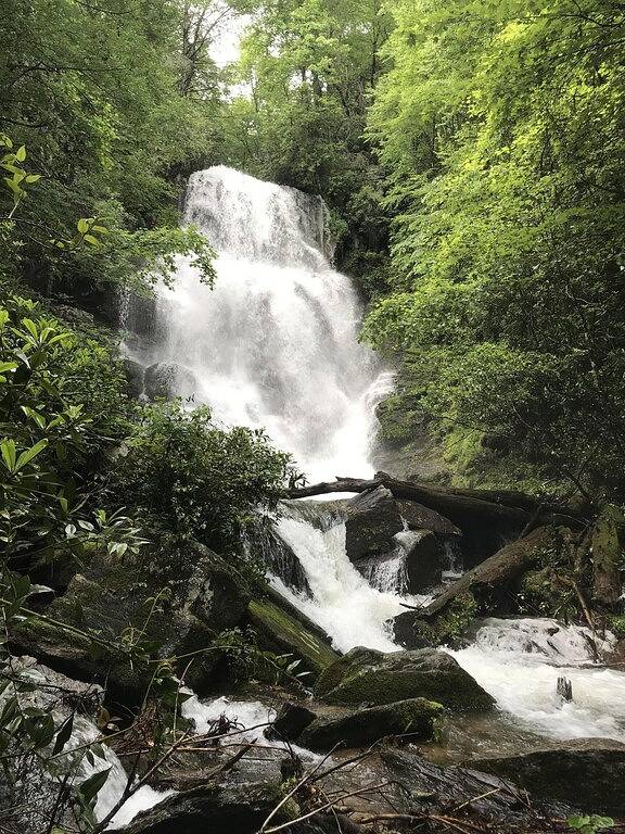 Mid-Century Modern * Herz von Downtown Brevard in Brevard, Transylvania County