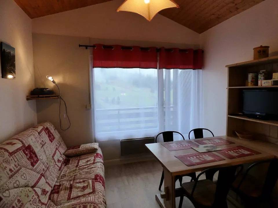 Estudio entero, Bright Studio + área de montaña 23m2 in Chinaillon, Le Grand-Bornand
