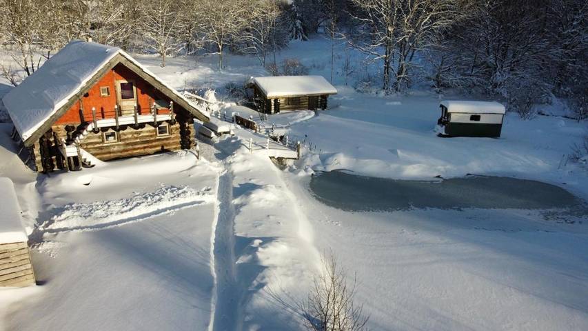 Gîte pour 6 personnes, avec jardin à Picherande - 3