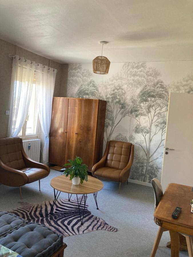 Gîte pour 2 personnes, avec jardin et vue, adapté aux familles à Martizay - 3