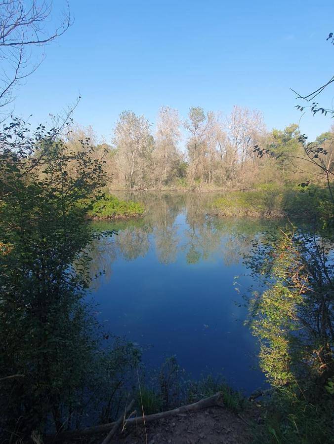 Gîte pour 4 personnes à Lodi - 4