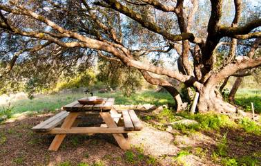 Finca in Capdepera, Mallorca Osten für 6 