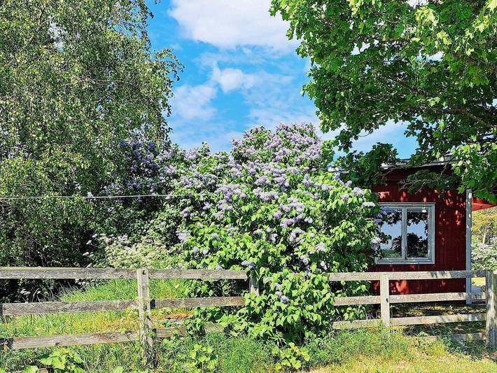 Hus för 4 Personer, med Terass på Gotland