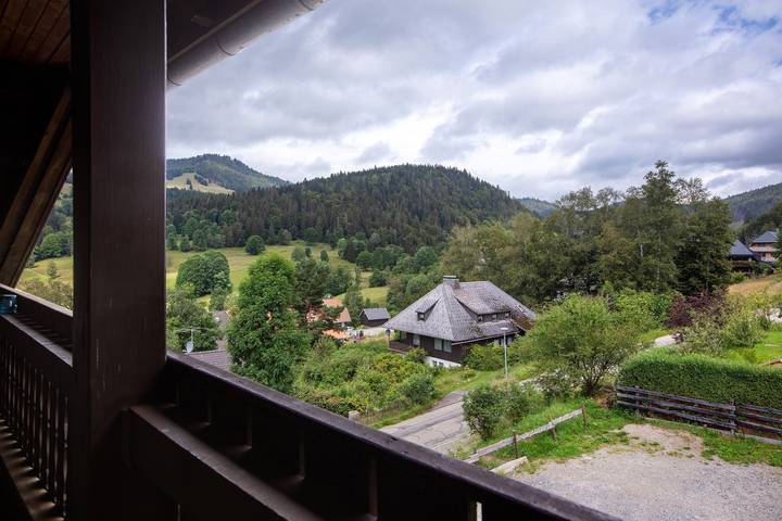 Ganze Wohnung, Ferienwohnung 2 - Familienappartement" mit Balkon und Wlan in Menzenschwand-Vorderdorf (St. Blasien), St. Blasien