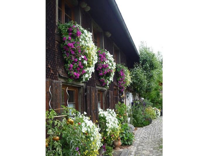Ferienhaus für 3 Personen, mit Garten, mit Haustier im Schwarzwald - 2
