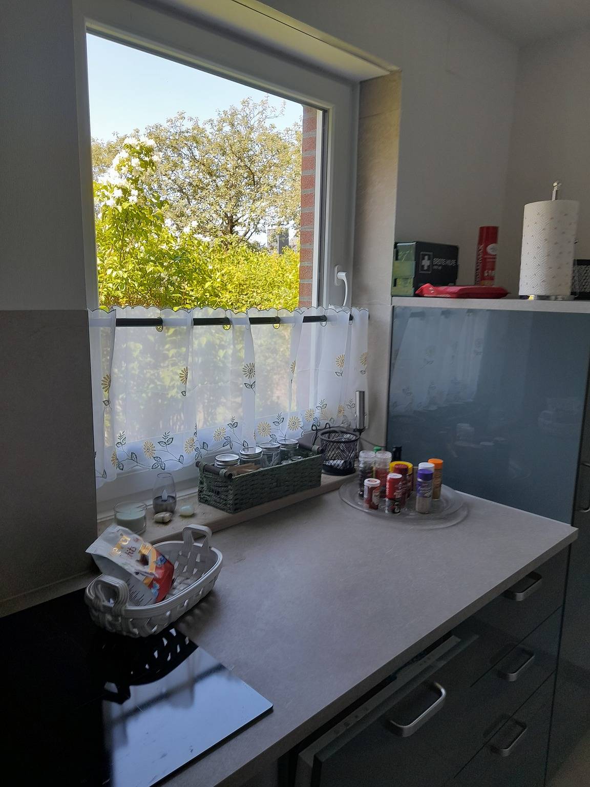 Ganze Wohnung, Ferienwohnung "Möwe 146" mit privater Terrasse in Horumersiel, Wangerland