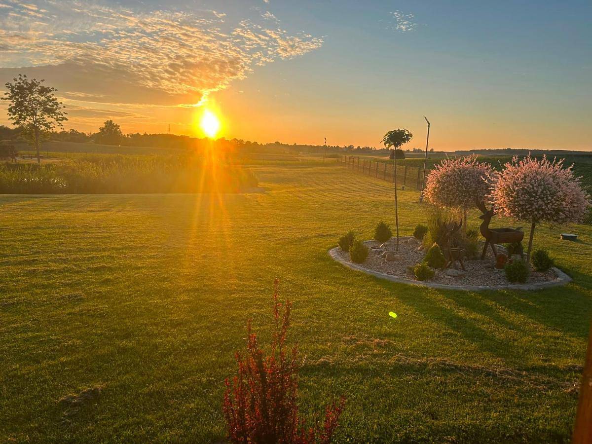 Domki nad stawem in Pojezierze Iławskie