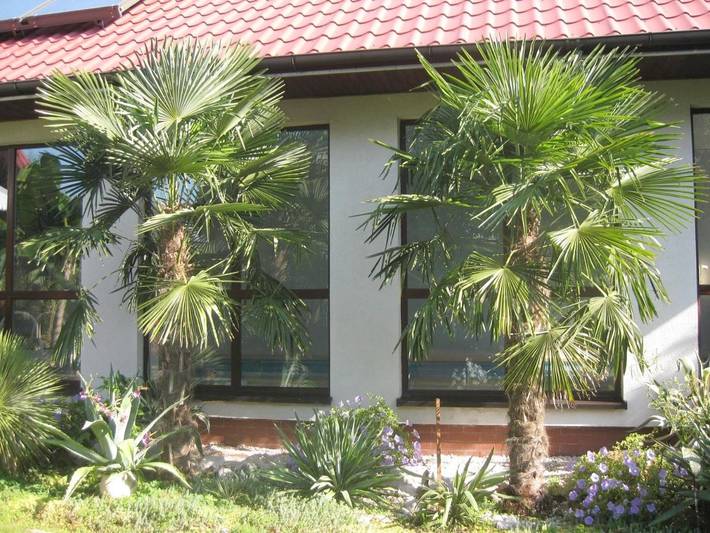 Apartament wakacyjny dla 2 osób, z Balkon i Taras oraz Ogród w Busko-Zdrój