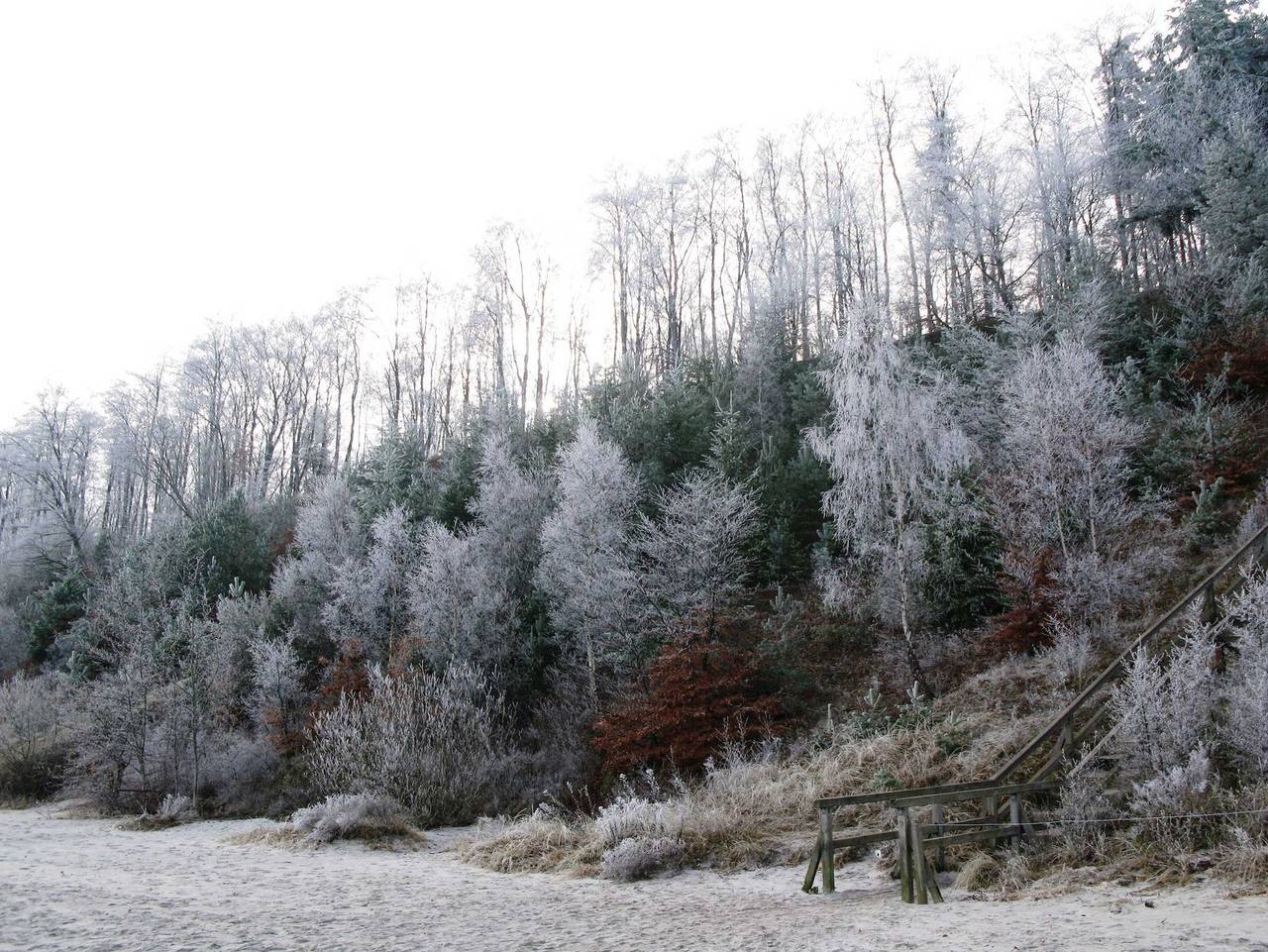 Ferienwohnung in Usedom ab 104€ pro Nacht