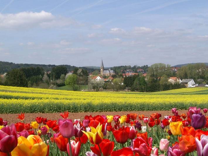 Ferienwohnung mit 2 Schlafzimmer in Sankt Wendel, Saar-Nahe-Bergland
