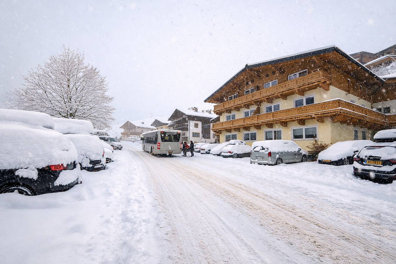 Ganze Ferienwohnung, Apartment Steinbock in Dienten am Hochkönig, Pinzgau