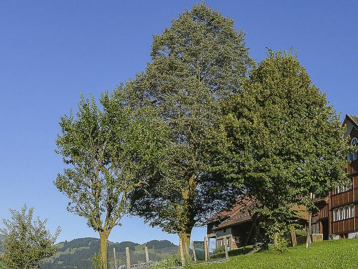 Ferienwohnung für 4 Personen, mit Garten in Appenzell Innerrhoden, Schweiz