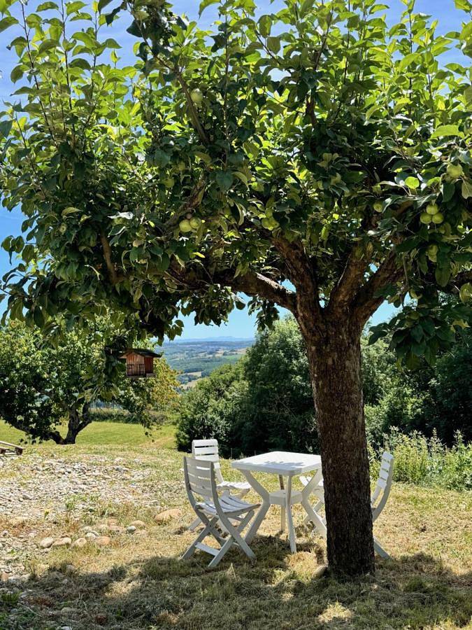 Location de vacances pour 4 personnes, avec jardin à Châteauneuf-de-Galaure - 3