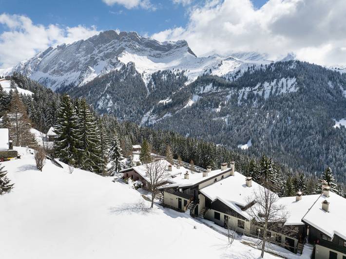 Ganze Wohnung, Les Arsets in Gryon, Alpes Vaudoises