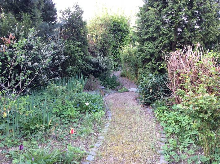 Chalet für 5 Personen, mit Garten und Sauna sowie Terrasse, kinderfreundlich in Rheinland-Pfalz - 2