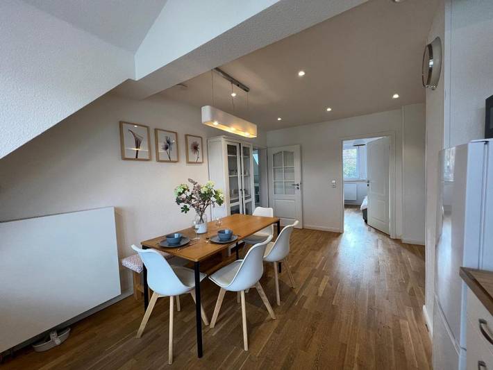 Gîte pour 8 personnes, avec vue et terrasse à Lörrach - 2