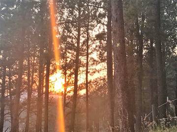 Log Cabin for 4 Guests in Black Hills, South Dakota, Picture 2