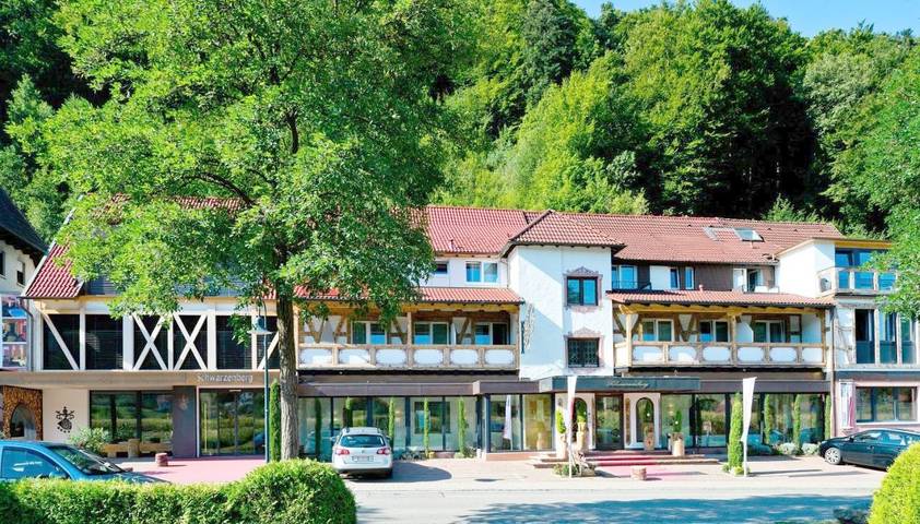 Hôtel pour 4 personnes, avec piscine et vue ainsi que sauna et jardin à Glottertal - 4