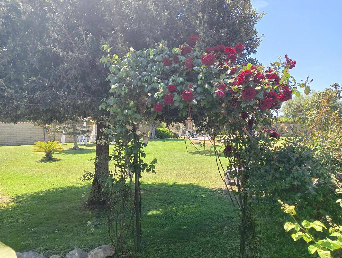 Double Room with Shared Bathroom in Ladispoli, Provincia di Roma
