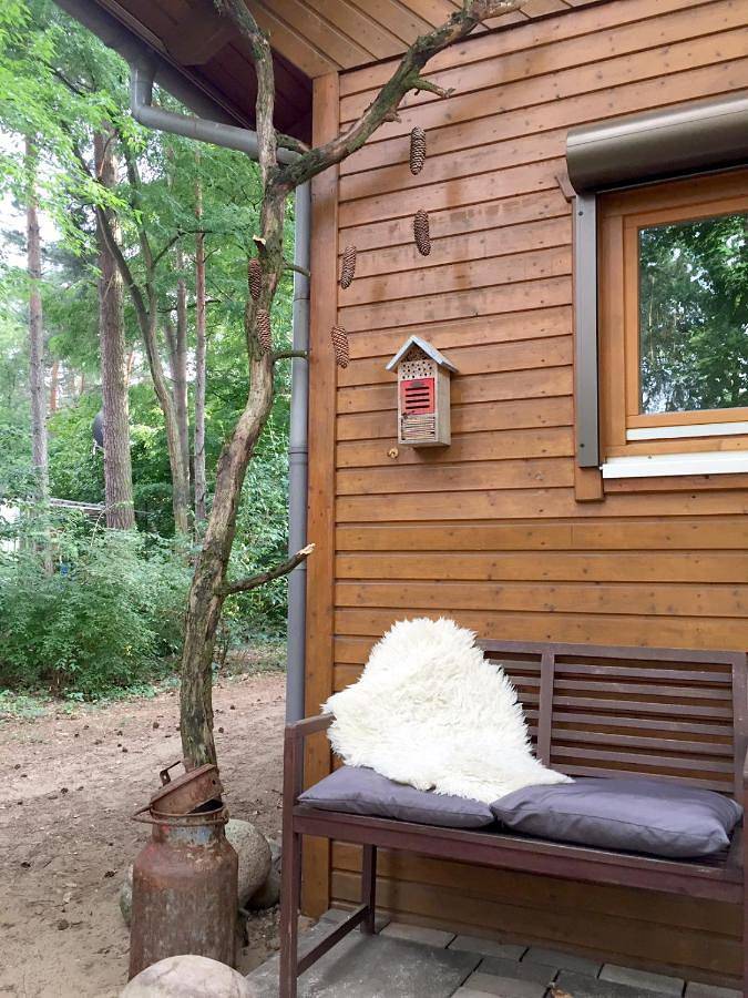 Ferienhaus für 5 Personen, mit Terrasse und Garten sowie Ausblick in Beelitz - 3