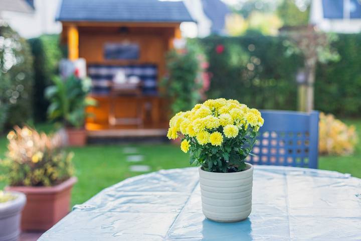 Ferienwohnung „Ferienwohnung, 60qm“ mit gemeinsamer Terrasse, Gemeinschaftsgarten und WLAN in Bruchhausen (Olsberg), Olsberg