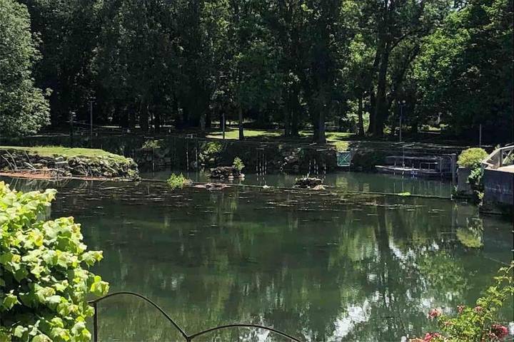 Gîte pour 4 personnes, avec Vue à Jarnac