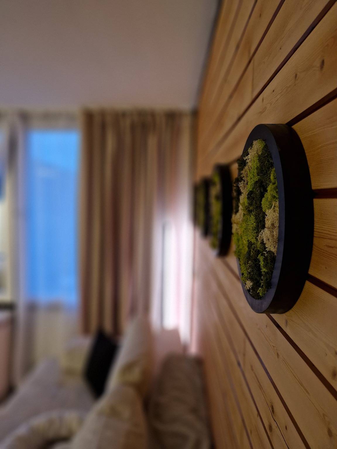 Ganze Wohnung, Ferienwohnung 'Schwarzwald' mit Bergblick, Balkon und Wi-Fi in Sasbachwalden, Mittlerer Schwarzwald