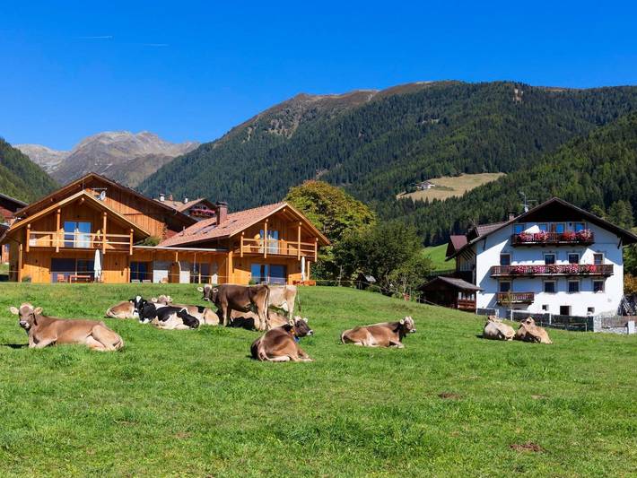 Hütte für 6 Personen, mit Sauna und Terrasse sowie Garten und Ausblick am Kronplatz