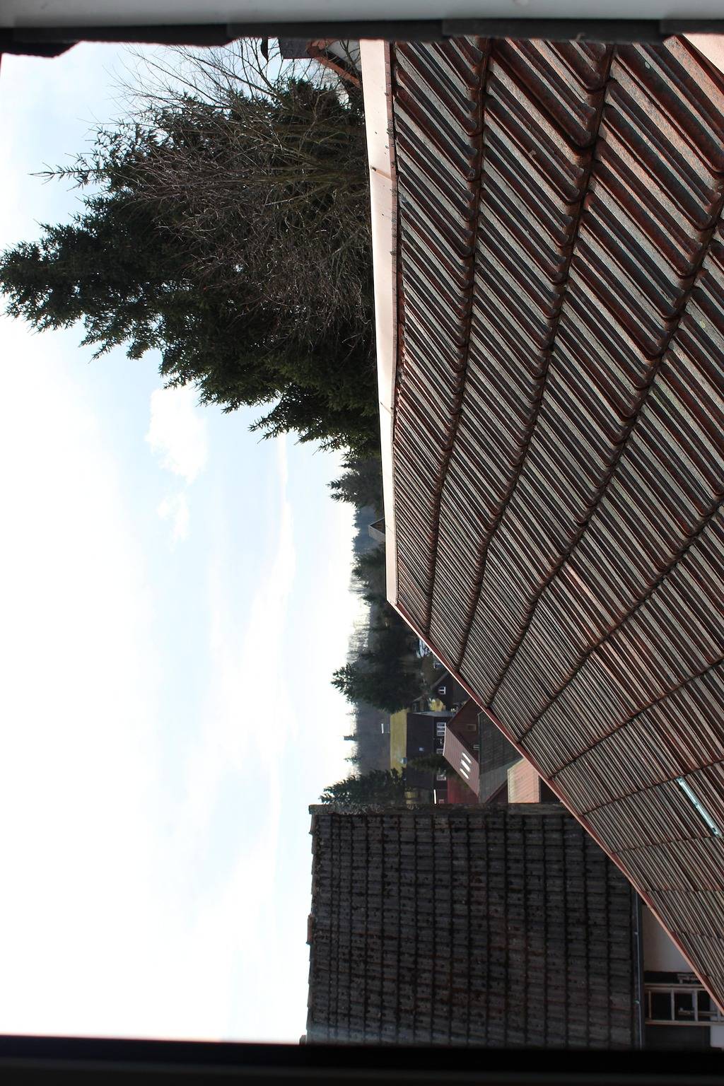 Ganze Ferienwohnung, Fewo Harz Benneckenstein in Benneckenstein, Harzvorland