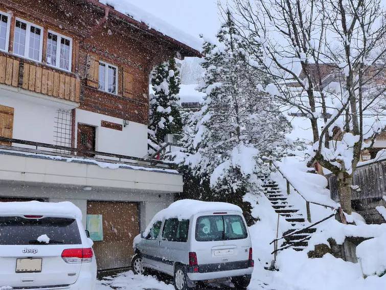 Ganze Wohnung, 3 Pièces 4 Personnes in Lenk im Simmental, Lenk