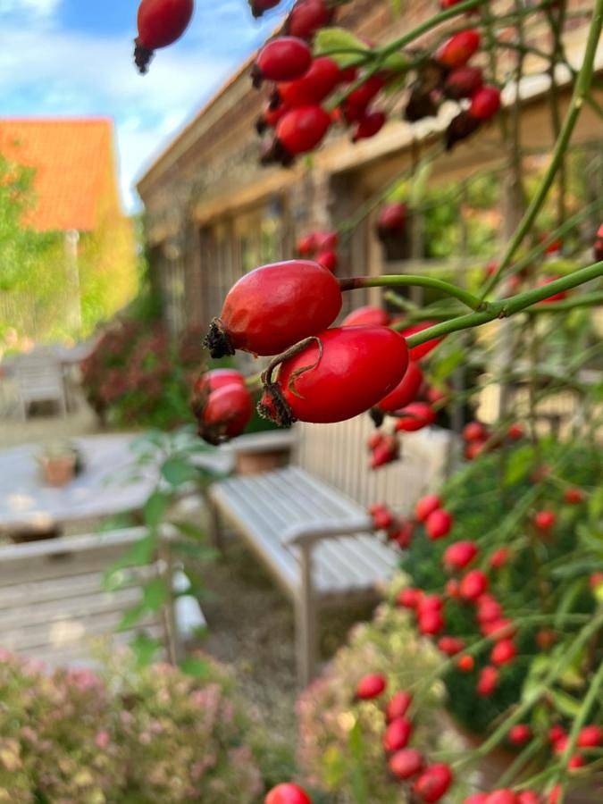Chambre d’hôte pour 2 personnes, avec vue et jardin dans la Région d'Audenarde - 4
