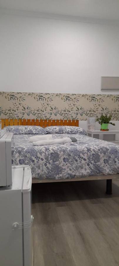 Double Room with Private Bathroom in Madrid, Provincia de Madrid