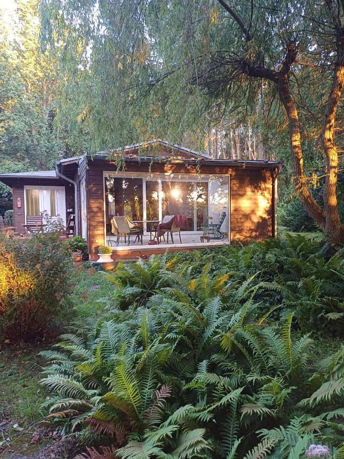 Ferienhaus für 2 Personen, mit Ausblick und Seeblick sowie Garten, mit Haustier in Naturpark Barnim - 2