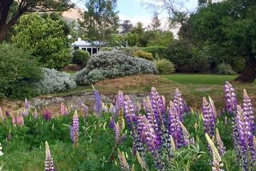 Cottage for 4 Guests in Otago, Picture 3