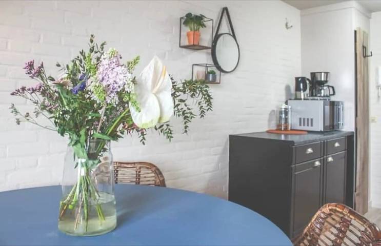 Ferienhaus für 4 Personen, mit Balkon und Balkon/Terrasse sowie Terrasse und Pool in Schouwen-Duiveland - 4