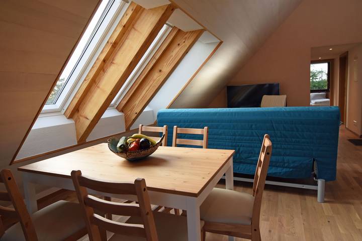Ganze Ferienwohnung, Hof Geiger - Ferienwohnung Fuchsie, 48qm, 1 Schlafzimmer, max. 3 Personen in Unteruhldingen, Uhldingen-Mühlhofen