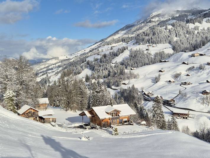 Ferienwohnung für 4 Personen, mit Balkon im Berner Oberland - 3