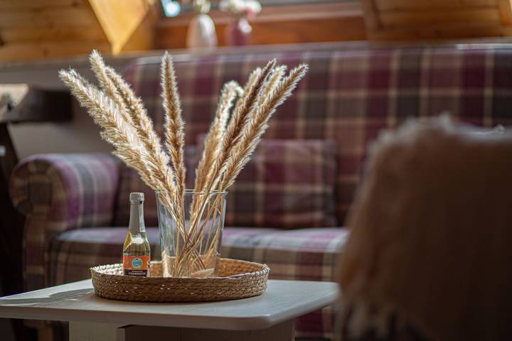 Ferienwohnung für 5 Personen, mit Terrasse und Garten in Westermarkelsdorf - 4