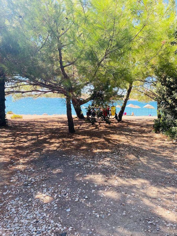 Location de vacances pour 4 personnes, avec vue et jardin dans Ildir - 4