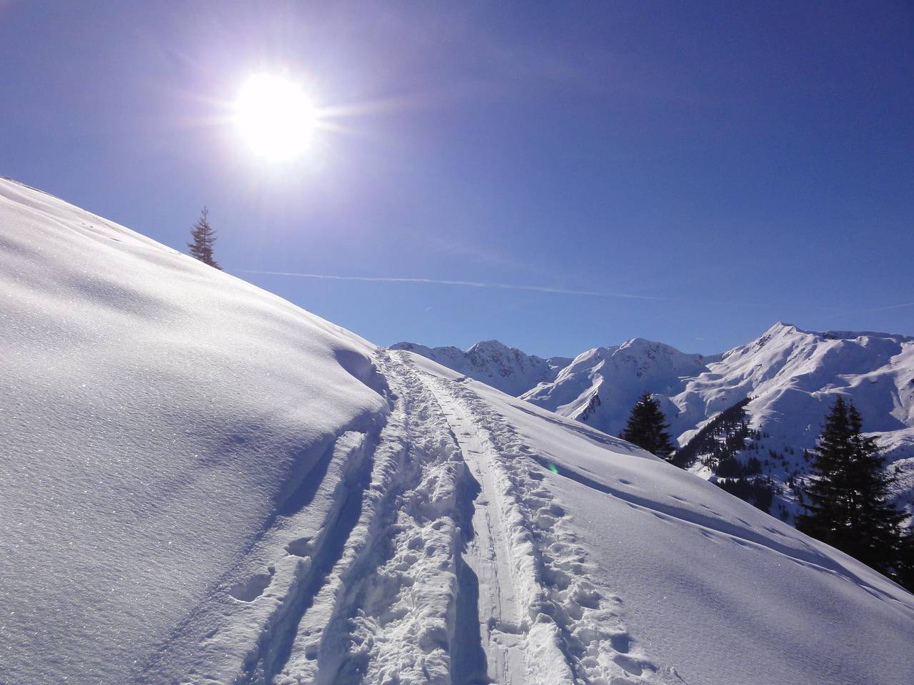 Zweibettzimmer, Dusche, Wc, 1 Schlafraum in Thierbach, Wildschönau