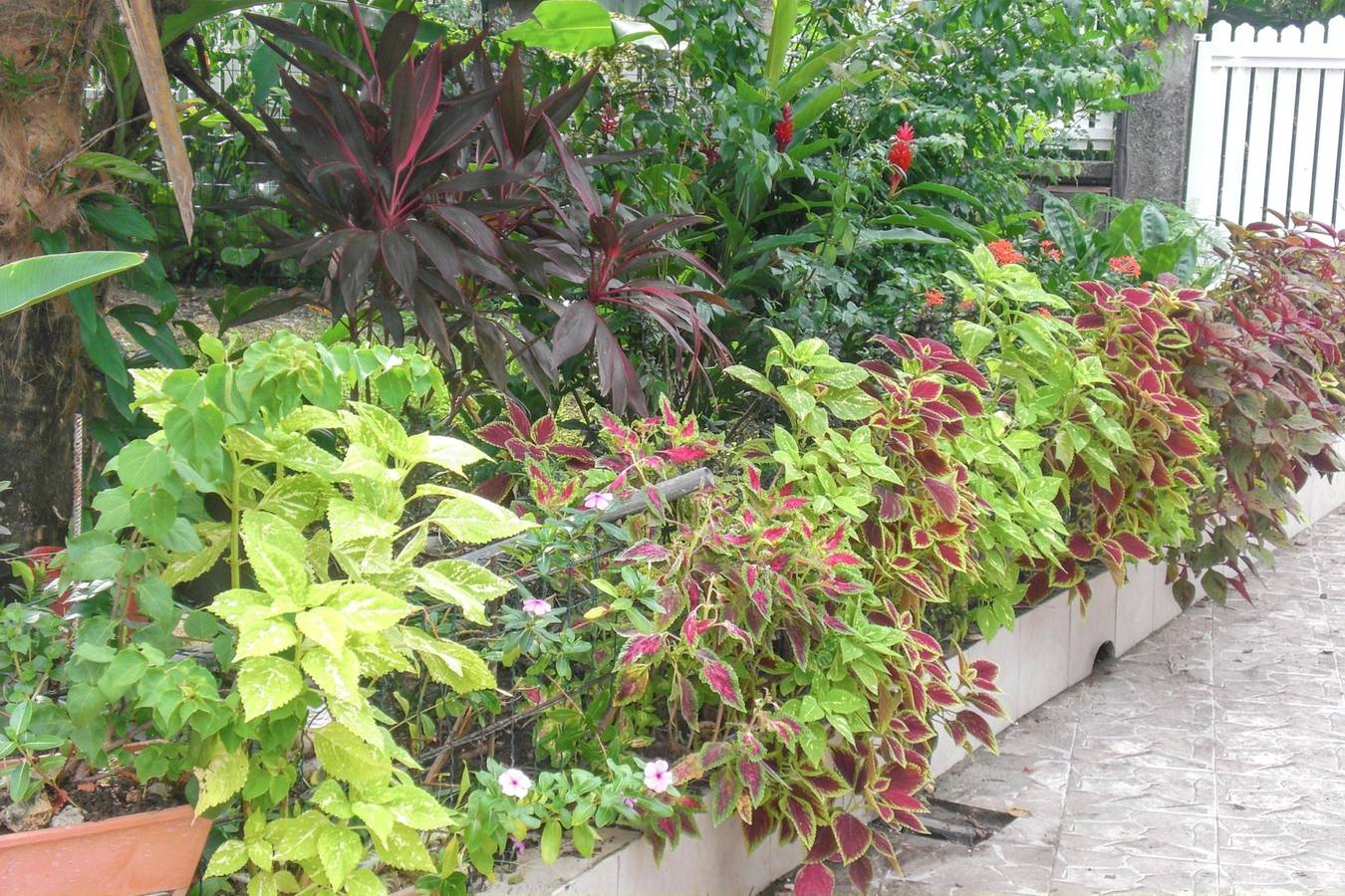 Ganze Wohnung, Charmante Wohnung in Port-Louis, 35 m², privater Garten in Port-Louis, Guadeloupe