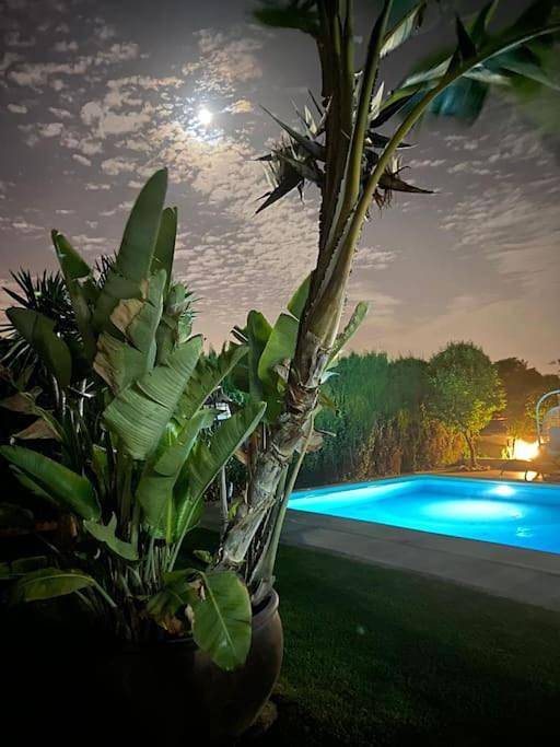 Casa rural para 15 personas, con Balcón y Terraza además de Jardín y Piscina en Salteras - 4