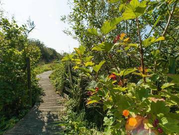 Hütte für 3 Personen in Nieby, Ostsee Schleswig-Holstein, Bild 4